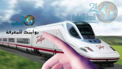 رحلة مميزة مع قطار تالجو على خطوط السكة الحديد المصرية
